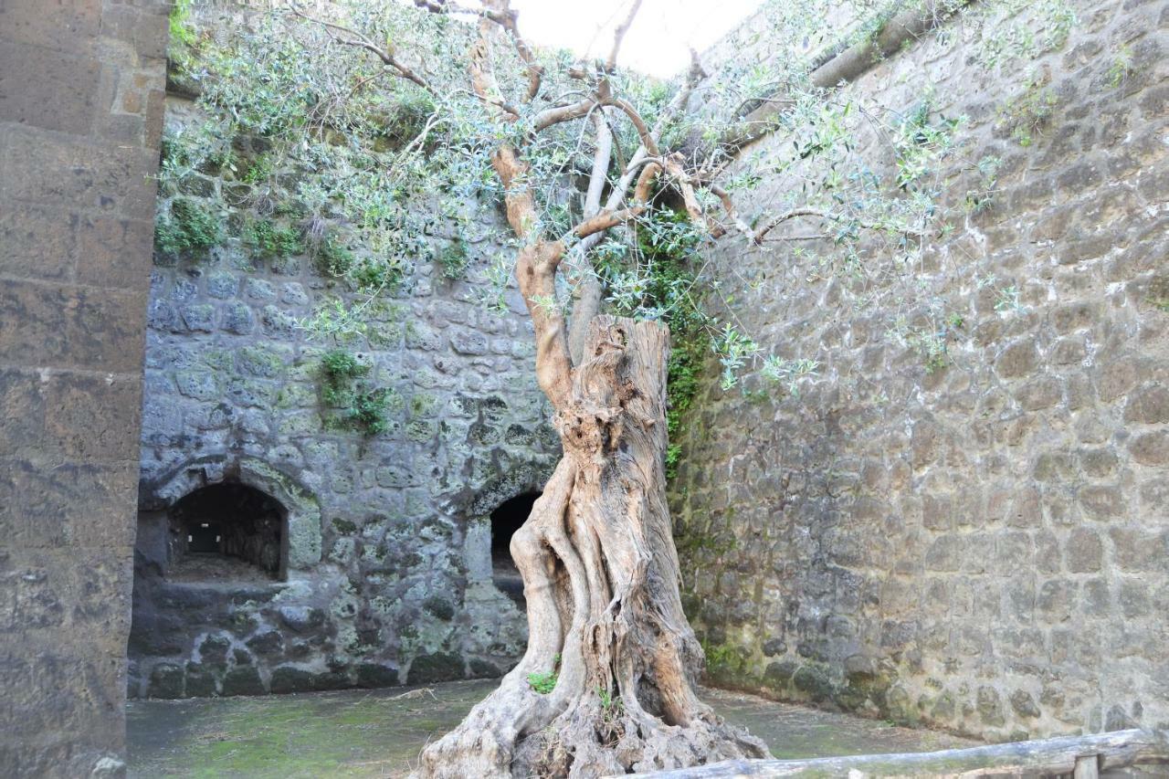 La Piccola Sorrento Ξενοδοχείο Εξωτερικό φωτογραφία